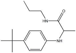 2-[(4-tert-butylphenyl)amino]-N-propylpropanamide 구조식 이미지