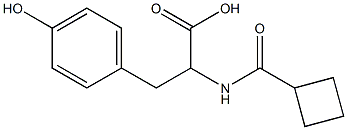 2-[(cyclobutylcarbonyl)amino]-3-(4-hydroxyphenyl)propanoic acid 구조식 이미지