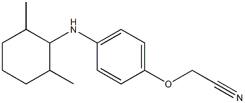 2-{4-[(2,6-dimethylcyclohexyl)amino]phenoxy}acetonitrile Structure