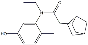 2-{bicyclo[2.2.1]heptan-2-yl}-N-ethyl-N-(5-hydroxy-2-methylphenyl)acetamide 구조식 이미지