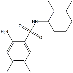 2-amino-N-(2,3-dimethylcyclohexyl)-4,5-dimethylbenzene-1-sulfonamide Structure