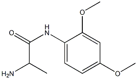 2-amino-N-(2,4-dimethoxyphenyl)propanamide Structure