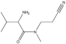 2-amino-N-(2-cyanoethyl)-N,3-dimethylbutanamide 구조식 이미지