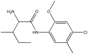 2-amino-N-(4-chloro-2-methoxy-5-methylphenyl)-3-methylpentanamide 구조식 이미지