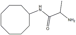 2-amino-N-cyclooctylpropanamide Structure