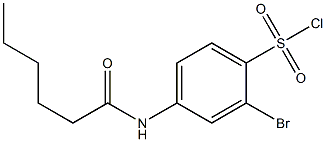 2-bromo-4-hexanamidobenzene-1-sulfonyl chloride Structure