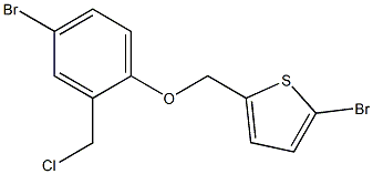 2-bromo-5-[4-bromo-2-(chloromethyl)phenoxymethyl]thiophene 구조식 이미지