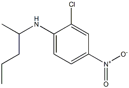 2-chloro-4-nitro-N-(pentan-2-yl)aniline 구조식 이미지