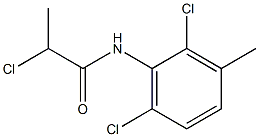 2-chloro-N-(2,6-dichloro-3-methylphenyl)propanamide 구조식 이미지