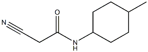 2-cyano-N-(4-methylcyclohexyl)acetamide Structure