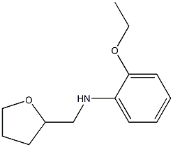 2-ethoxy-N-(oxolan-2-ylmethyl)aniline Structure