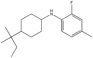 2-fluoro-4-methyl-N-[4-(2-methylbutan-2-yl)cyclohexyl]aniline 구조식 이미지