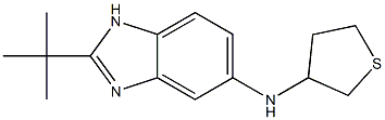 2-tert-butyl-N-(thiolan-3-yl)-1H-1,3-benzodiazol-5-amine Structure