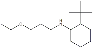 2-tert-butyl-N-[3-(propan-2-yloxy)propyl]cyclohexan-1-amine 구조식 이미지