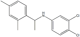 3,4-dichloro-N-[1-(2,4-dimethylphenyl)ethyl]aniline 구조식 이미지