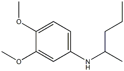 3,4-dimethoxy-N-(pentan-2-yl)aniline 구조식 이미지