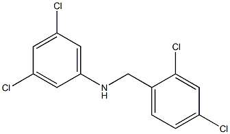 3,5-dichloro-N-[(2,4-dichlorophenyl)methyl]aniline Structure