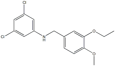 3,5-dichloro-N-[(3-ethoxy-4-methoxyphenyl)methyl]aniline Structure