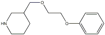 3-[(2-phenoxyethoxy)methyl]piperidine 구조식 이미지