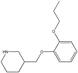 3-[(2-propoxyphenoxy)methyl]piperidine Structure