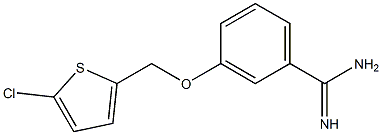 3-[(5-chlorothien-2-yl)methoxy]benzenecarboximidamide Structure