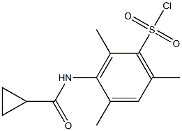 3-[(cyclopropylcarbonyl)amino]-2,4,6-trimethylbenzenesulfonyl chloride Structure