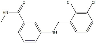 3-{[(2,3-dichlorophenyl)methyl]amino}-N-methylbenzamide 구조식 이미지