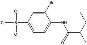 3-bromo-4-(2-methylbutanamido)benzene-1-sulfonyl chloride 구조식 이미지