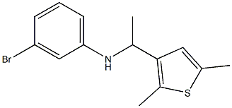3-bromo-N-[1-(2,5-dimethylthiophen-3-yl)ethyl]aniline Structure