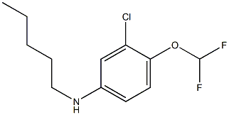 3-chloro-4-(difluoromethoxy)-N-pentylaniline 구조식 이미지