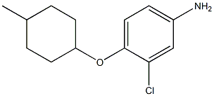 3-chloro-4-[(4-methylcyclohexyl)oxy]aniline Structure