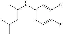 3-chloro-4-fluoro-N-(4-methylpentan-2-yl)aniline 구조식 이미지