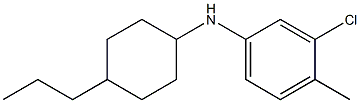 3-chloro-4-methyl-N-(4-propylcyclohexyl)aniline Structure
