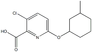 3-chloro-6-[(3-methylcyclohexyl)oxy]pyridine-2-carboxylic acid Structure