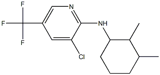 3-chloro-N-(2,3-dimethylcyclohexyl)-5-(trifluoromethyl)pyridin-2-amine 구조식 이미지