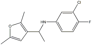 3-chloro-N-[1-(2,5-dimethylfuran-3-yl)ethyl]-4-fluoroaniline Structure