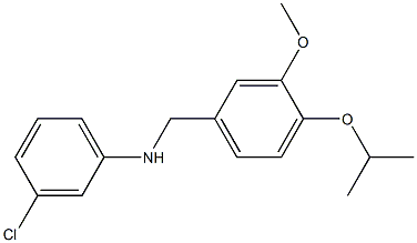 3-chloro-N-{[3-methoxy-4-(propan-2-yloxy)phenyl]methyl}aniline Structure