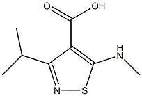 3-isopropyl-5-(methylamino)isothiazole-4-carboxylic acid Structure