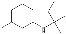 3-methyl-N-(2-methylbutan-2-yl)cyclohexan-1-amine 구조식 이미지