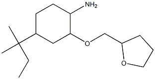 4-(2-methylbutan-2-yl)-2-(oxolan-2-ylmethoxy)cyclohexan-1-amine Structure