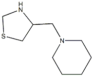 4-(piperidin-1-ylmethyl)-1,3-thiazolidine 구조식 이미지