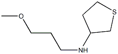 N-(3-methoxypropyl)thiolan-3-amine 구조식 이미지