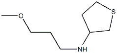 N-(3-methoxypropyl)thiolan-3-amine Structure