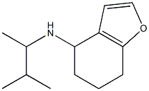 N-(3-methylbutan-2-yl)-4,5,6,7-tetrahydro-1-benzofuran-4-amine Structure