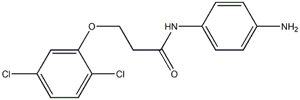 N-(4-aminophenyl)-3-(2,5-dichlorophenoxy)propanamide Structure