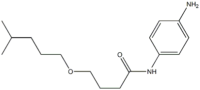 N-(4-aminophenyl)-4-[(4-methylpentyl)oxy]butanamide 구조식 이미지