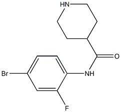 N-(4-bromo-2-fluorophenyl)piperidine-4-carboxamide Structure