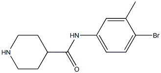 N-(4-bromo-3-methylphenyl)piperidine-4-carboxamide Structure