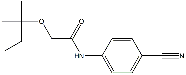 N-(4-cyanophenyl)-2-[(2-methylbutan-2-yl)oxy]acetamide 구조식 이미지