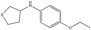 N-(4-ethoxyphenyl)thiolan-3-amine 구조식 이미지